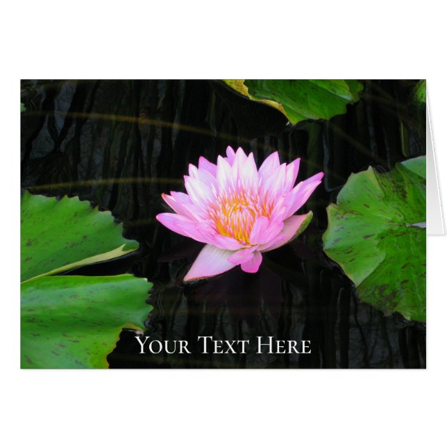 Nénuphar rose Lotus (Devant horizontal)