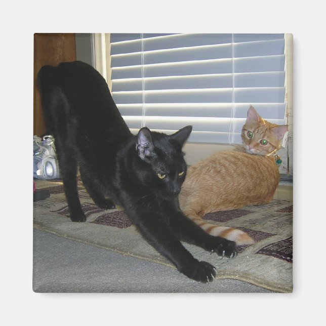 Neo and Isabelle magnet (Front)