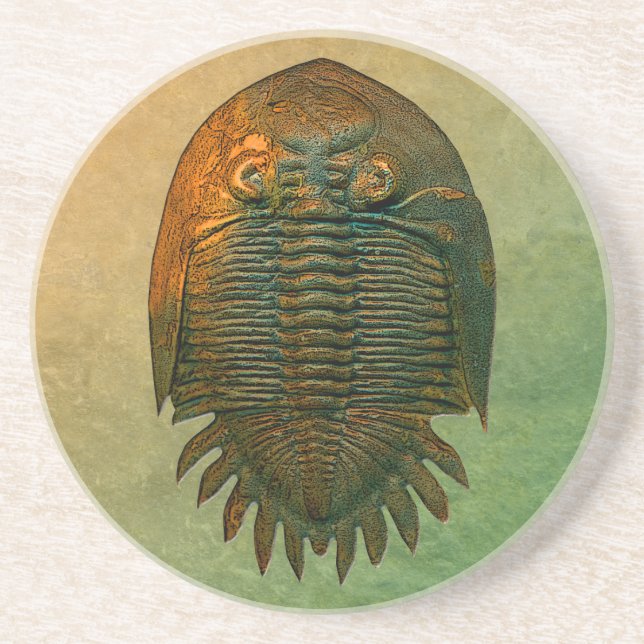 Neometacanthus Fossil Trilobite Coaster (Front)