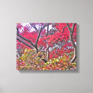 NEON COLORS OF FALL/TREE WITH COLORFUL LEAVES CANVAS PRINT