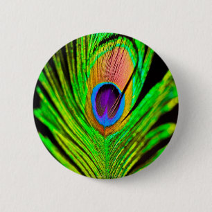 Neon Colours Peacock Feather 2 Inch Round Button
