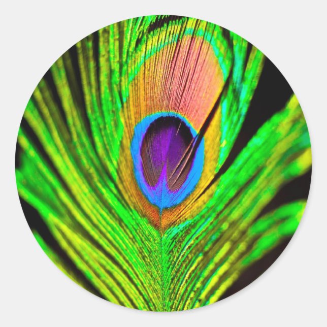 Neon Colours Peacock Feather Classic Round Sticker (Front)
