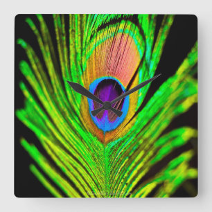 Neon Colours Peacock Feather Square Wall Clock