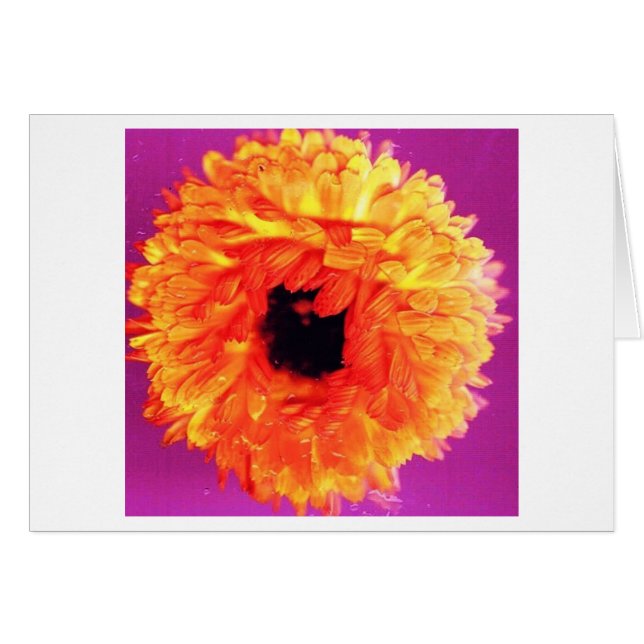 NEON FIORI (Front Horizontal)