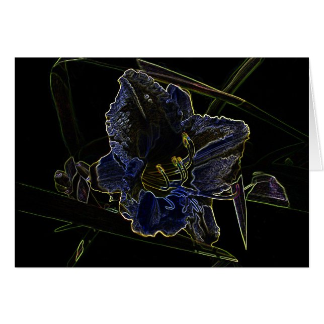 Neon Glow Daylily Flower (Front Horizontal)