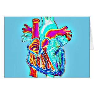 Neon Hand Drawn Anatomical Heart