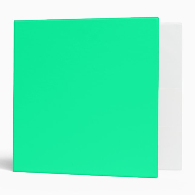 Neon Mint Solid Colour Minimalist Binder (Front/Inside)