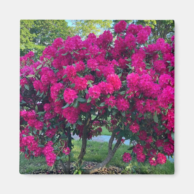 Neon Nature Magnet (Front)