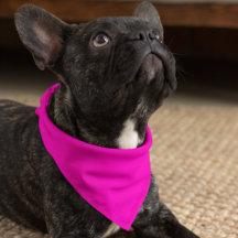 Neon Pink Solid Colour Customize It