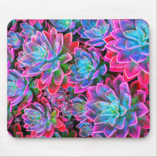 Neon pink Succulent plant Mouse Pad