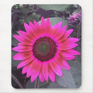 Neon Pink Sunflower Mousepad