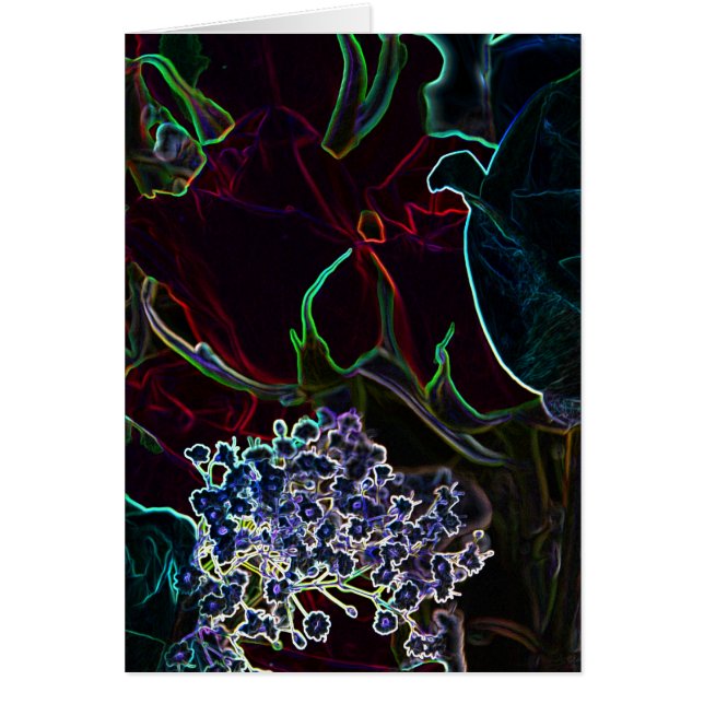 Neon Roses collection (Front)