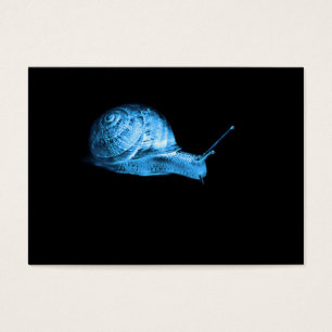 Neon snail