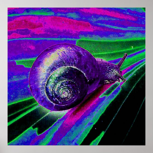 neon snail poster (Front)