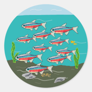 Neon Tetra Classic Round Sticker