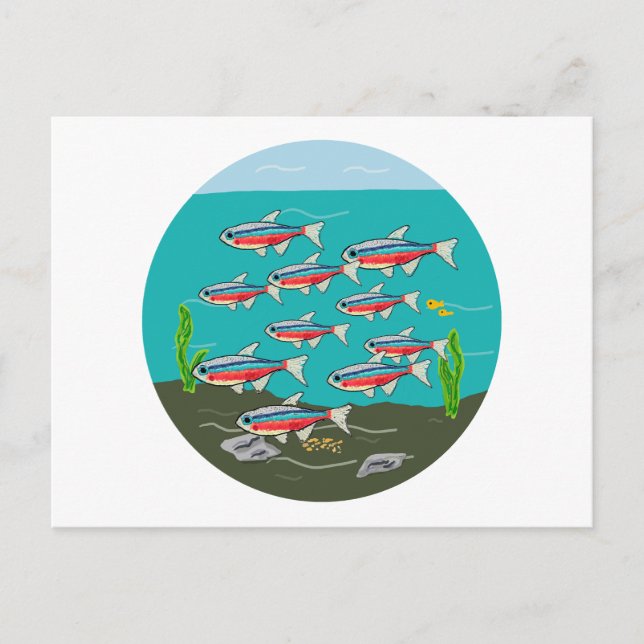 Neon Tetra Postcard (Front)