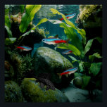 Neon Tetras Plecostomus Aquarium Fish Tank Lovers  Poster<br><div class="desc">Neon Tetras Plecostomus Aquarium Fish Tank Lovers</div>
