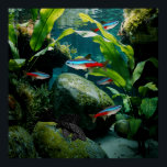 Neon Tetras Plecostomus Aquarium Fish Tank Lovers  Poster<br><div class="desc">Neon Tetras Plecostomus Aquarium Fish Tank Lovers</div>