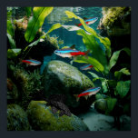 Neon Tetras Plecostomus Aquarium Fish Tank Lovers Poster<br><div class="desc">Neon Tetras Plecostomus Aquarium Fish Tank Lovers</div>