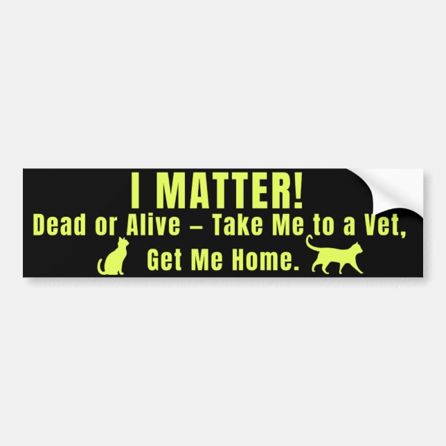 Neon Yellow "I Matter" Bumper Sticker (Front)