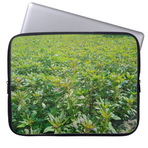 Neoprene Laptop Sleeve 15 inch