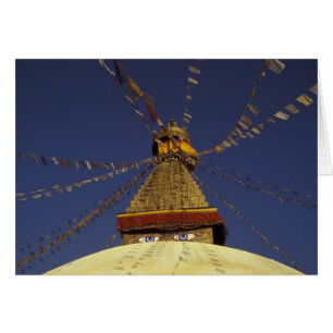 Nepal, Kathmandu. Under prayer flags, watchful