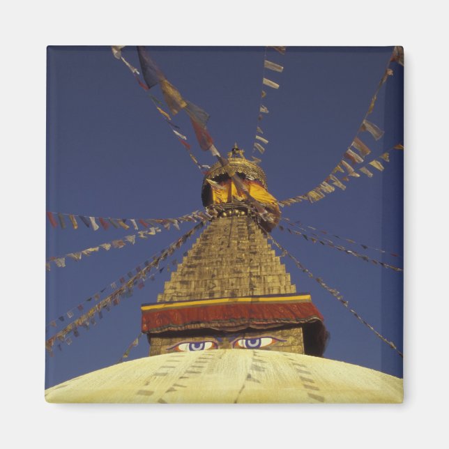 Nepal, Kathmandu. Under prayer flags, watchful Magnet (Front)