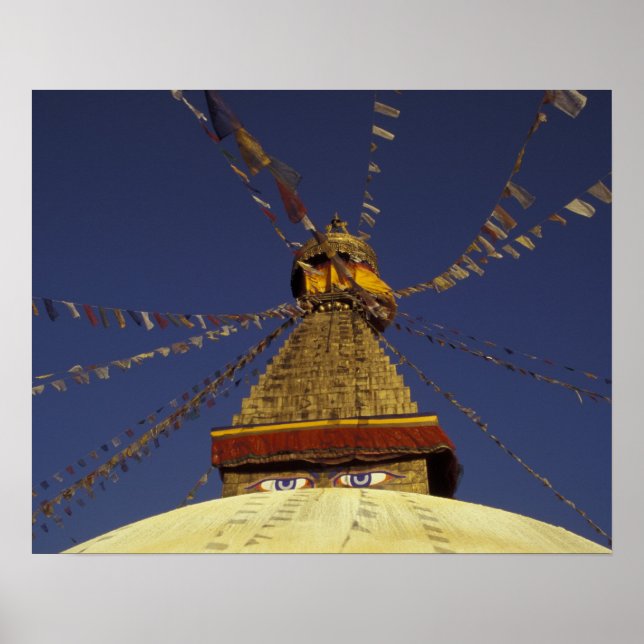 Nepal, Kathmandu. Under prayer flags, watchful Poster (Front)