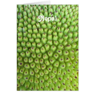 Nepalese Jackfruit