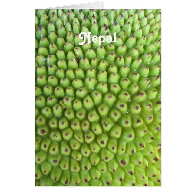 Nepalese Jackfruit (Front)