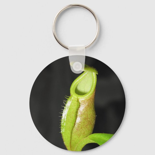 Nepenthes diatas keychain (Front)