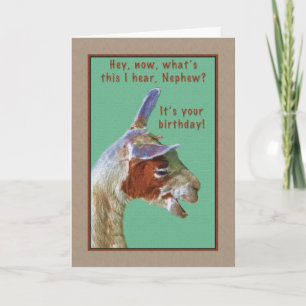 Nephew, Birthday, Laughing Llama Card