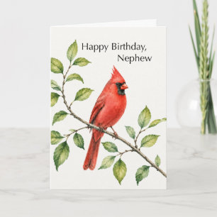 Nephew Birthday Red Cardinal on Branch Card