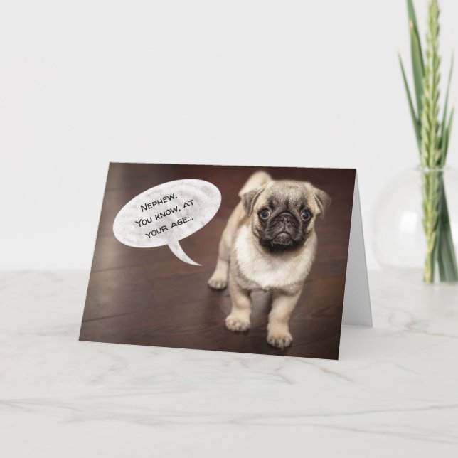 Nephew Funny Chien Carte d'anniversaire (Devant)