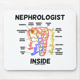 Nephrologist Inside Kidney Nephron Mouse Pad