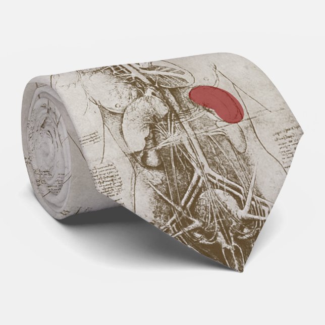 Nephrologist Unique Tie Anatomy by L. da Vinci (Rolled)