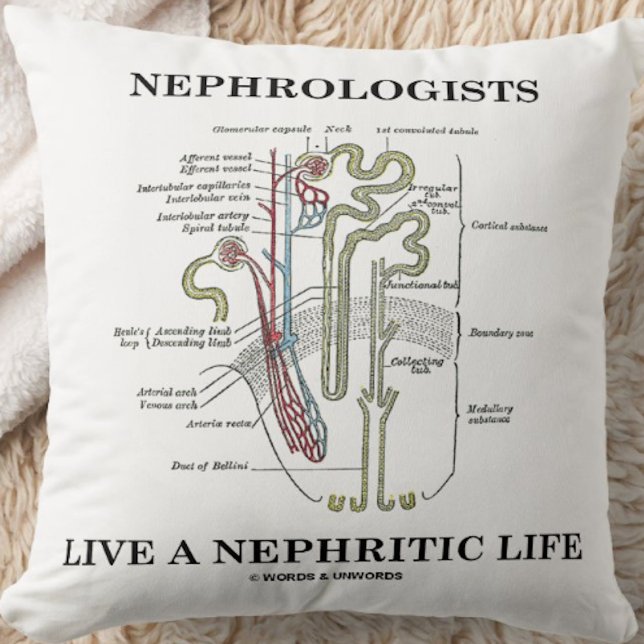 Nephrologists Live A Nephritic Life (Nephron) Throw Pillow (Throw pillow featuring a kidney's nephron and cheeky medical saying for any nephrologist)