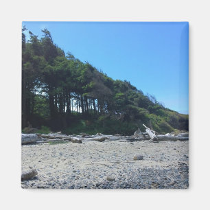 Neptune State Park, OR Magnet