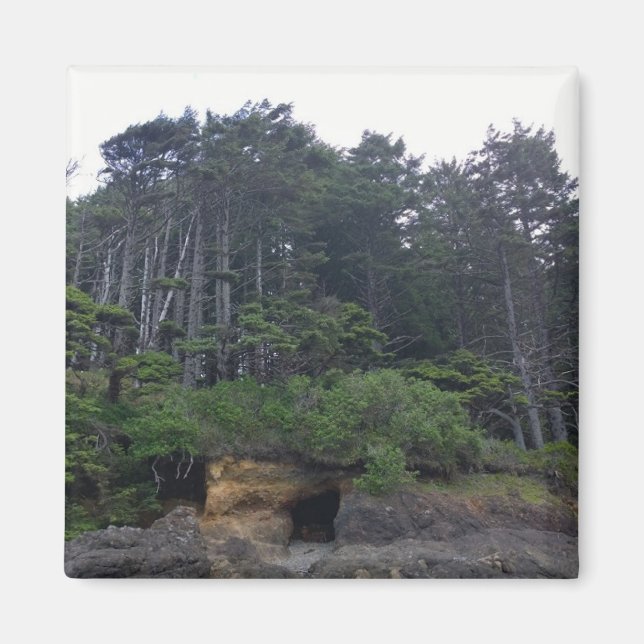 Neptune State Park, OR Magnet (Front)