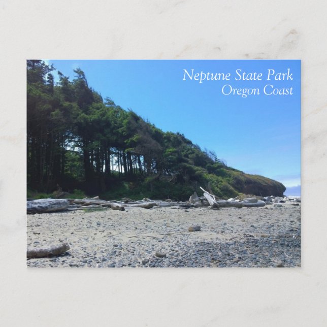 Neptune State Park, OR Postcard (Front)