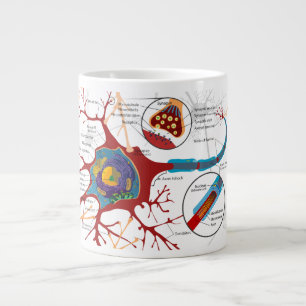 Nerve Cell Diagram Science Large Coffee Mug