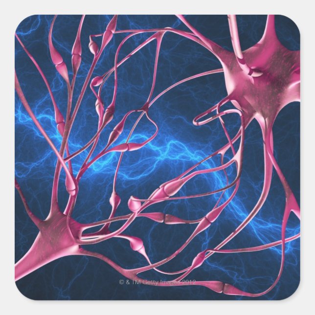 Nerve synapses, computer artwork. square sticker (Front)