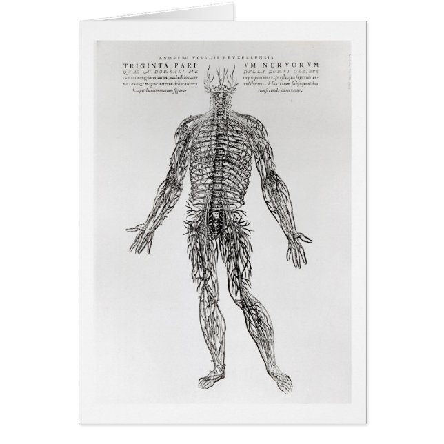 Nervous System (b/w print) (Front)
