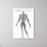 Nervous System (b/w print)