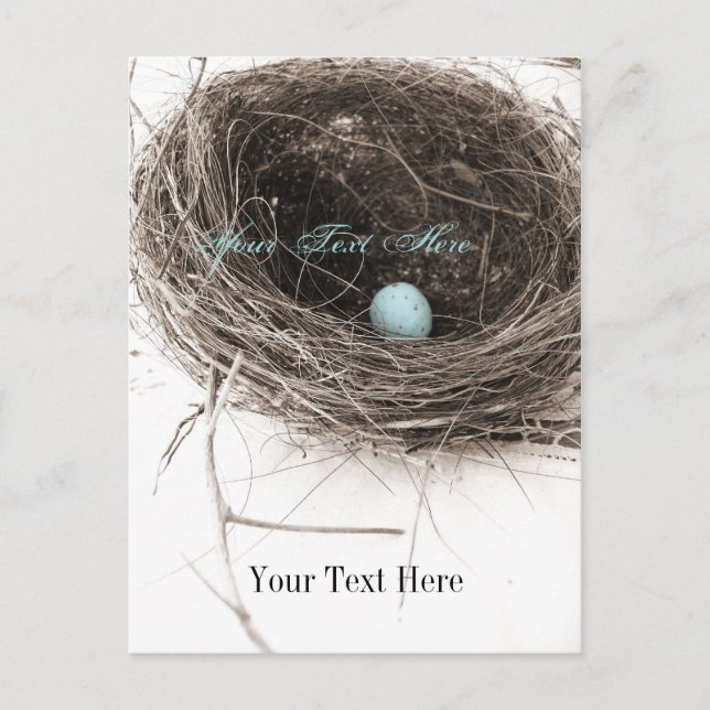 Nest and Egg Postcard (Front)