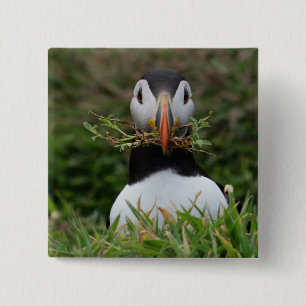 Nest Builder Puffin 2 Inch Square Button