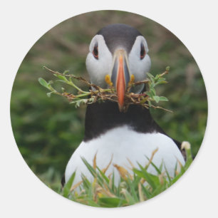Nest Builder Puffin Classic Round Sticker