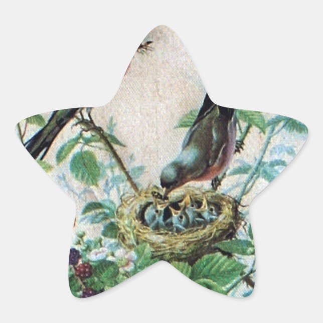 Nest of Joy: Family's Nourishing Young Spirit Love Star Sticker (Front)