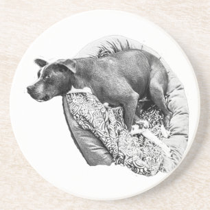 Nest Pause – Loyal Presence Coaster