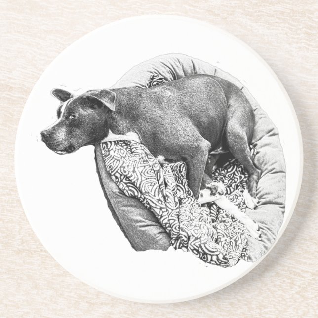Nest Pause – Loyal Presence Coaster (Front)